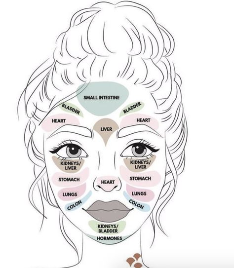 Wondering if there is a connection between acne and each organ in your body? There is! ✨- map of acne on face - face acne map - face acne chart - face acne meaning - map of acne on face - skincare routine - skincare tips - #skincare #acne Face Acne Remedies, Acne Chart, Face Map, Best Acne Scar Removal, Skin Mapping, Jade Face Roller, Facial Massage Roller, Face Skin Care Routine, Face Mapping