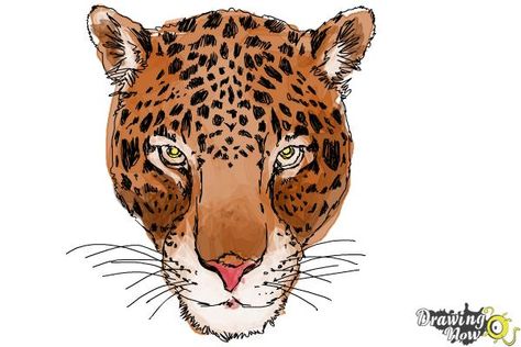 Cheetah Face Drawing, Draw A Cheetah, Nose Sketch, Cheetah Face, Drawing Lessons For Kids, Leopard Face, Zen Tangle, Big Cats Art, Scary Faces