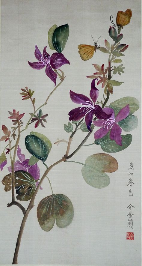 Bauhinia Blakeana, Hong Kong Orchid, Chinese Orchid, Orchid Drawing, Orchids Painting, Painting Exhibition, Orchid Tree, Folk Illustration, Chinese Paintings