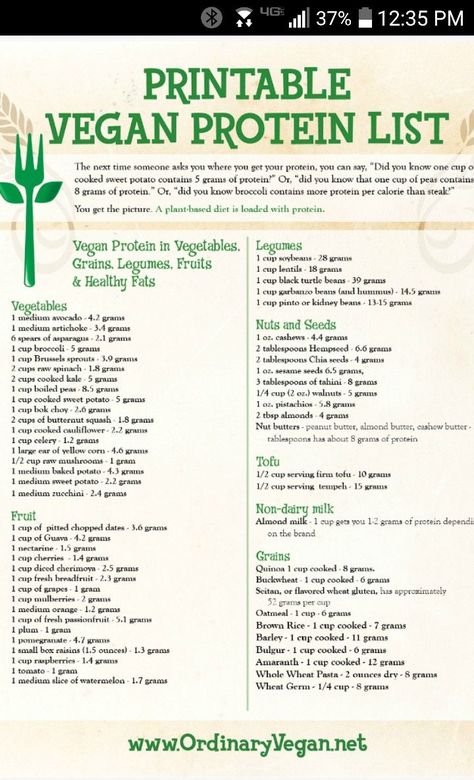 This is so helpful! Protein List, Veggie Protein, Vegan Info, Vegan Food List, Vegan Protein Sources, Vegan Tips, Vegan Facts, Protein Dinner, Vegan Nutrition