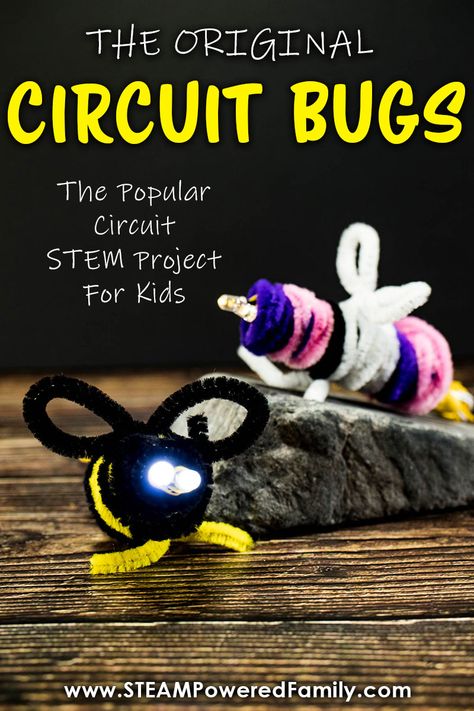 Create A Bug Project, Stem Circuit Activities, Led Diode Projects, Bug Stem Activities, Simple Circuit Projects For Kids, Circuit Projects For Kids, Lightning Bug Crafts, Insects Craft, Simple Circuit Projects