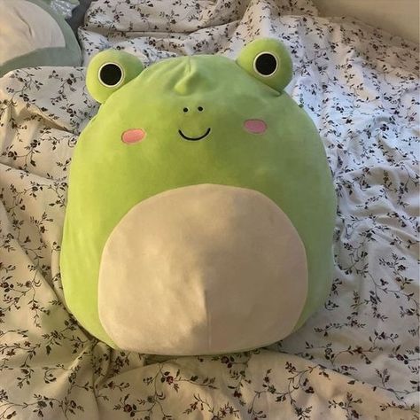 Wendy Squishmallow, Wendy The Frog, Frog Squishmallow, Spring Summer Aesthetic, Boyfriend Date, Toy Animals, Cute Squishies, Green Frog, Cute Stuffed Animals