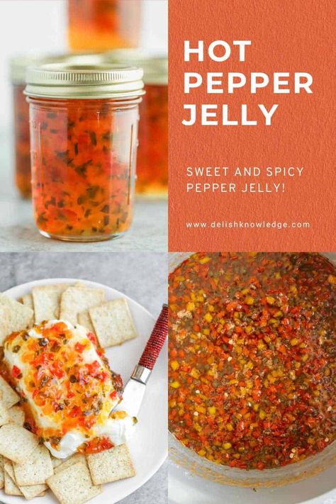 Hot Pepper Jelly Recipe 13 Jalapeno Appetizer, Appetizer Easy, Grow Lettuce, Pepper Jelly Recipes, Jalapeno Jelly, Hot Pepper Jelly, Preserving Foods, Canning Food, Jalapeno Recipes