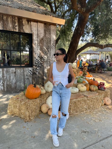 Pumpkin patch outfit / fall outfit / fall 2023 / pumpkin patch / outfit ideas Pumpkin Patch Outfit Women Warm Weather, Pumpkin Patch Outfit Hot Weather, Outfit Hot Weather, Pumpkin Patch Outfit Women, Pumpkin Patch Outfit Ideas, Outfit Fall 2023, Patch Outfit, Pumpkin Patch Outfit, Outfit Fall