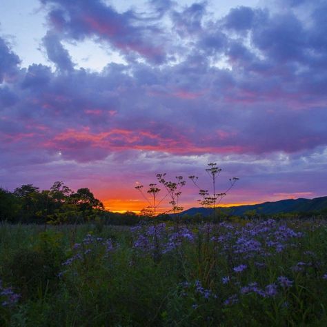 Pretty Landscapes, Images Esthétiques, Pretty Sky, Pretty Photos, Sunset Pictures, Alam Yang Indah, Nature Aesthetic, Pretty Places, Sky Aesthetic