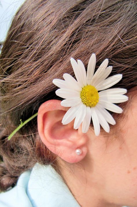 Flower Behind Ear, Oxeye Daisy, Ear Hair, Beach Weddings, Flower Images, Beach Hair, Free Stock Photos, Prince, Daisy