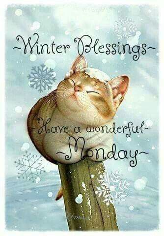 Winter Blessings, Wonderful Monday, Happy Monday Images, Monday Greetings, Good Morning Winter, Monday Morning Quotes, Good Morning Monday, Good Monday Morning, Good Morning Happy Monday