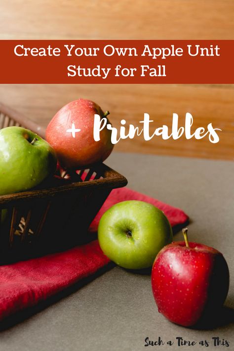 Read Alouds & Apple Pie {10 Ways to Learn about Autumn & Apple Unit Study} Apple Homeschool Unit, Homeschool Apple Unit Study, Johnny Appleseed Unit Study, Apples Unit 2nd Grade, Kids Books For Apple Harvest Unit, Apple Unit Study, Homeschool Binder, Apple Lessons, Apple Unit