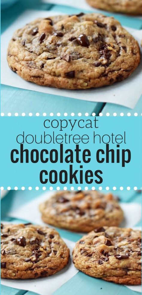 Copycat Doubletree Hotel Chocolate Chip Cookies – Modern Honey Hotel Chocolate Chip Cookies, Copycat Desserts, Doubletree Cookie Recipe, Cook Desserts, Doubletree Cookies, The Perfect Chocolate Chip Cookie, Hotel Chocolate, Recipes Copycat, Modern Honey