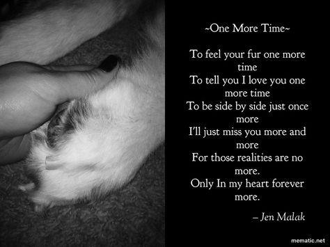 Missing My Dog, Losing A Dog Quotes, Losing A Pet Quotes, Dog Heaven Quotes, Dog Poetry, Pet Poems, I Miss My Cat, Miss My Dog, Dog Poems