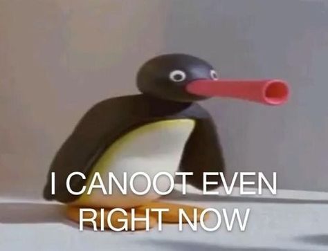 Pingu Memes, Noot Noot, Response Memes, Bad Memes, Reaction Memes, Fresh Memes, Wholesome Memes, Meme Faces, I Cant Even