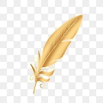 golden,birds,feather,feathers,golden feather,a feather Feather Png, Golden Feather, Crown Png, Golden Bird, Cartoon Clouds, Remove Background From Image, Yellow Sky, Feather Wedding, Paper Birds