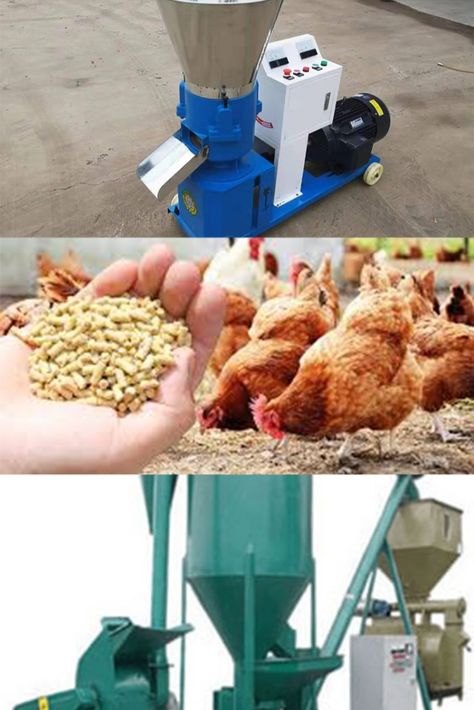 Poultry Farm Design, Poultry Business, Commercial Farming, Poultry Equipment, Poultry Farming, Broiler Chicken, Farm Images, Chicken Feeders, Poultry Feed