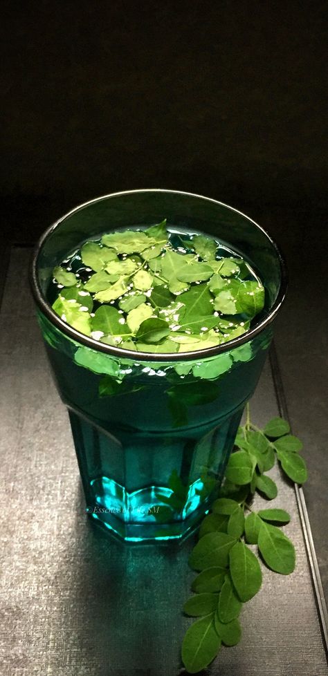 Moringa Tea Recipe, Moringa Recipes, Moringa Tea, Moringa Benefits, Yummy Green Smoothie, Fruit Recipes Healthy, Sense Of Taste, Moringa Tree, Miracle Tree