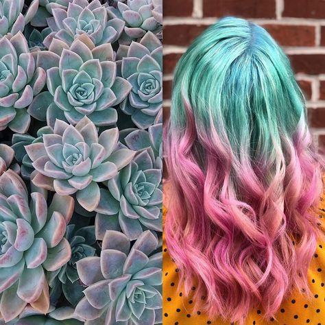 Pink And Teal Hair Color Combinations, Pink Underneath Hair, Teal Ombre Hair, Hair Melt, Teal Hair Color, Fire Hair, Teal Hair, Spring Hair Color, Hair Brands