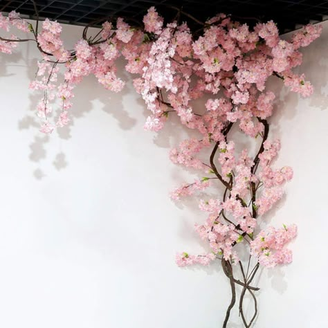 Blossom Tree Wedding, Deco Champetre, Hanging Vines, Artificial Silk Flowers, Cherry Blossom Flowers, Blossom Tree, Cherry Blossom Tree, Deco Floral, Wedding Background