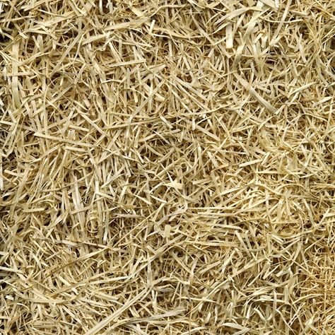 Turn your yard into a top-quality landscape with the perfect additive solution. The EZ Straw Just Straw Bale from Rhino Seed will keep your grass looking good-as-new, even over time. EZ Straw is the perfect add-on solution for planting grass seeds. This bale contains clean and processed wheat straw for hundreds of uses. The straw can be used as pet bedding, nesting material, or for homemade crafts. Twice-cut and processed, the application is made easy. Leaving no mess, you won't have to worry ab Seed Growth, Straw Mulch, Planting Grass, Straw Bales, Straw Bale, Erosion Control, Landscaping Supplies, Wheat Straw, Grass Seed