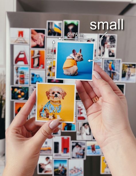 PHOTO FRIDGE MAGNETS & HIGH-QUALITY PRINTING Our magnets are high quality, durable, and printed in high resolution. PHOTO MAGNETS is the NEW favorite gift for your Family, Friends, and You. The best way to save your photos is to print them. M A T E R I A L: SURFACE TYPE: Luster Premium Photo Paper THICKNESS: 0.5 mm (20 mils) S I Z E S: ⁃ Small - 2.75 x 2.75 in ⁃ Medium - 2.75 x 3.5 in ⁃ Large - 3.25 x 4 in H O W T O O R D E R: - Select which size of magnet you want (S, M, or L); - Choose your be Finger Print Glass Magnets, Fridge Photo Magnets, Magnet Save The Date, Fridge Photos, Picture Magnets, Custom Photo Magnets, Custom Fridge Magnets, Unique Photo Gifts, Fridge Decor