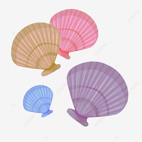 Shell Png, Saucer Chairs, Marine Life, Shells, Fish, Quick Saves