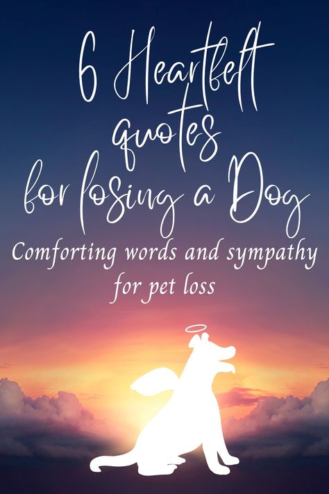 If you have experienced the pain of losing a beloved dog, these grief signs will comfort and console you during that difficult time. They are a perfect gift for someone mourning their dog crossing the rainbow bridge. Dog Rainbow Quotes, Losing A Dog Quote, Losing A Pet Quote Dogs Memories, Quotes For Losing A Dog, Loss Of A Pet Dog, Loss Of Dog Sympathy, Dog Died Quotes Sympathy, Dog Loss Captions, Dog Died Quotes