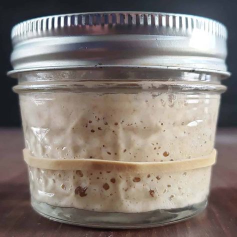 Sourdough Bread Starter, Dough Starter, Sourdough Starter Discard Recipe, Homemade Sourdough Bread, Potato Flakes, Bread Starter, Sourdough Starter Recipe, Wild Yeast, Sourdough Discard