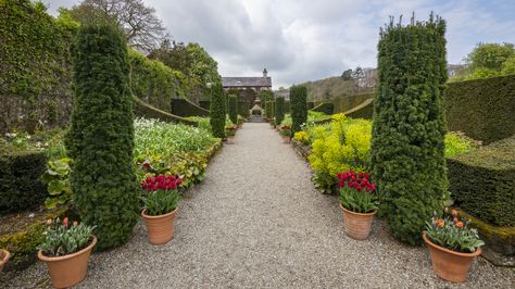 Alternatives To Using Landscape Fabric Under Gravel To Prevent Weeds - House Digest Gravel Driveways, Garden Pathways, Rock Bed, Weed Barrier, Gravel Driveway, Gravel Path, Stone Pathway, Landscape Fabric, Soil Health