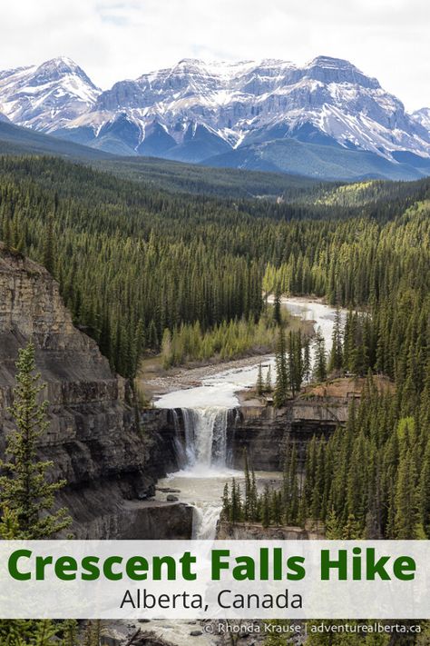 The Crescent Falls hike is an active way to discover one of Alberta’s most beautiful waterfalls. Here's what to expect on Crescent Falls Trail. (adventurealberta.ca) | Alberta travel, Alberta hikes, Alberta hiking trails, Canada, Canada hikes, Canada hiking trails #nature #waterfall #hiking #mountains #travel #travelinspiration #traveldestinations Canada Hikes, Alberta Hikes, Alberta Summer, Hiking Canada, Travel Alberta, Canada Nature, Alberta Travel, Nature Waterfall, Southern Alberta