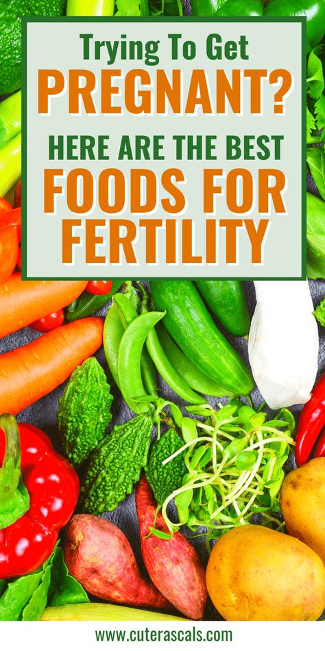 Foods For Fertility, Foods To Get Pregnant, Herbs For Fertility, Help Getting Pregnant, Fertility Smoothie, Increase Fertility, Chances Of Pregnancy, Fertility Foods, Fertility Health