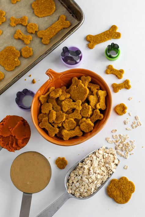 Pumpkin Peanut Butter Dog Treats, Dog Treats Homemade Pumpkin, Pumpkin Peanut Butter, Dog Treats Recipe, Pumpkin Oats, Easy Dog Treat Recipes, Peanut Butter Snacks, Dog Pumpkin, Peanut Butter Oats