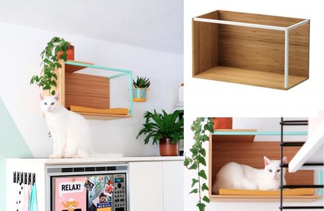 Diy cat shelves