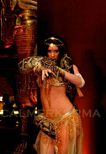 SNAKE DANCERS TO HIRE -ARABIAN NIGHTS THEMED ENTERTAINMENT UK Snake Dance, Arab Dancer Costume, Snake Burlesque, Women With Snakes Photography, Desert Belly Dance, Snake Charmer, Extreme Fashion, Anime Cosplay, Feminine Power