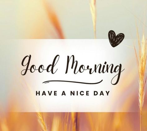 Welcome summer 2024! Good morning & Happy Thursday! 💋💜 Good Morning Scripture, Nice Good Morning Images, Good Morning Happy Thursday, Good Night I Love You, Morning Words, Lovely Good Morning Images, Good Morning Funny Pictures, Good Morning Sweetheart Quotes, Good Morning Love Messages