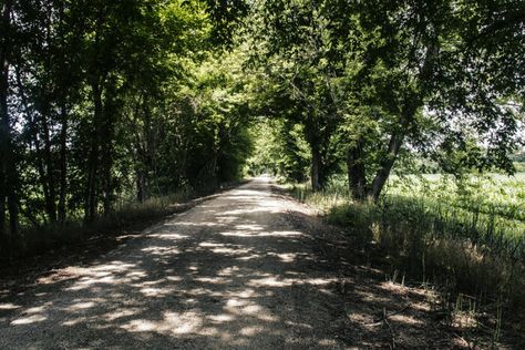 Katy Trail Missouri, Missouri Town, Bucket List Adventure, Katy Trail, Forest Aesthetic, Missouri River, Columbia Mo, River Trail, Heritage Museum