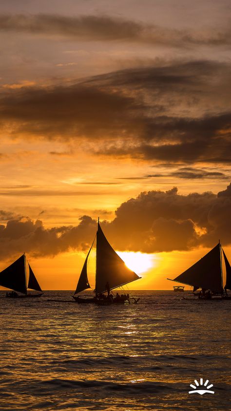 sailboats on the water in front of a golden sunset with some clouds in the sky. Boracay Island, Boracay, Sunset Views, Sunset Beach, Beach Vibes, Beach Vibe, Beach Sunset, Beach Trip, Animal Photography