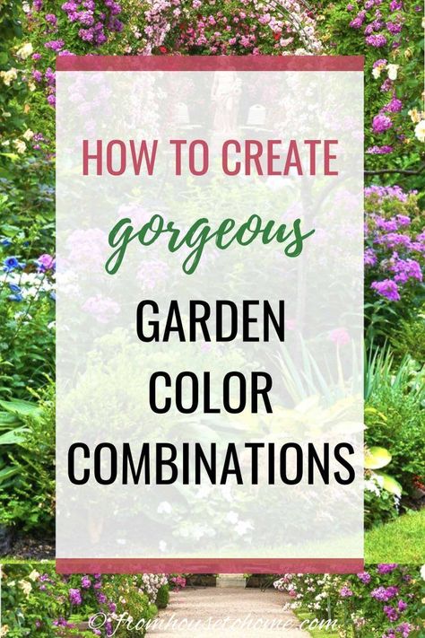 These tips for creating a beautiful landscape using different plant color combinations are awesome! Who knew the color wheel could be so helpful in coming up with a gorgeous garden design for your front yard or backyard. Garden Color Combinations, Front Yard Design Ideas, Garden Home Ideas, Yard Design Ideas, Yard Landscape Ideas, White Flowering Shrubs, Garden Front Yard, Front Yard Landscape, Ideas For Garden