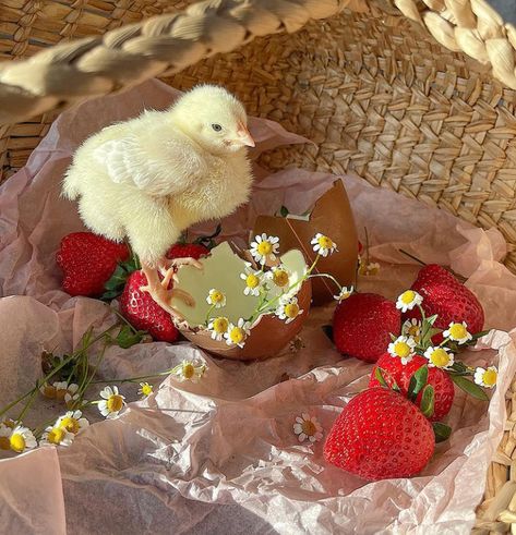 Cosmic Reset Strawberry Shortcake Aesthetic, Shortcake Aesthetic, Soft Life Era, Visual Gallery, Cottage Aesthetic, Vision Board Photos, Divine Feminine Spirituality, Warm Apple, Wooden Basket