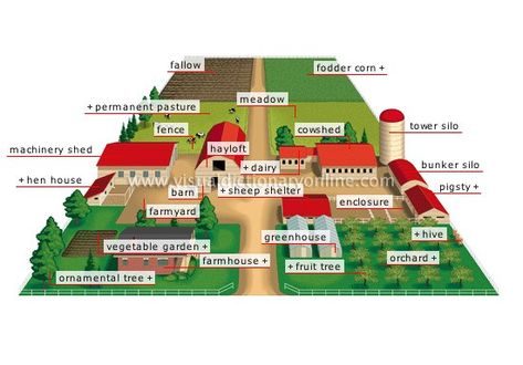 28 Farm Layout Design Ideas to Inspire Your Homestead Dream Farm Layout Design, Sheep Shelter, Layout Design Ideas, Homestead Layout, Pasture Fencing, Greenhouse Vegetables, Farm Plans, Homestead Farm, Farm Layout