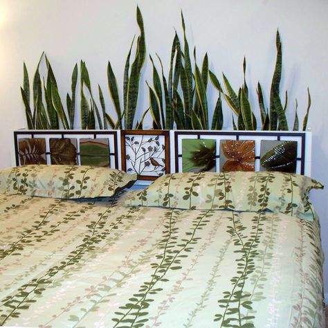 Plant Headboard (or with lavender!) Plant Headboard, Eco Bedroom, Plants Furniture, Wall Headboard, Best Plants For Bedroom, Indoor Tropical Plants, Indoor Plant Shelves, Succulent Images, Urban Homes