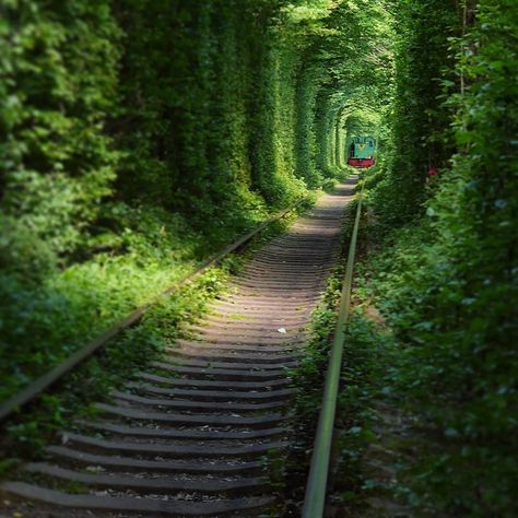 The most beautiful place in ukraine Tunnel Of Love, Travel Family, Beautiful Place, Most Beautiful Places, Railroad Tracks, Family Travel, Of Love, Beautiful Places, Ukraine