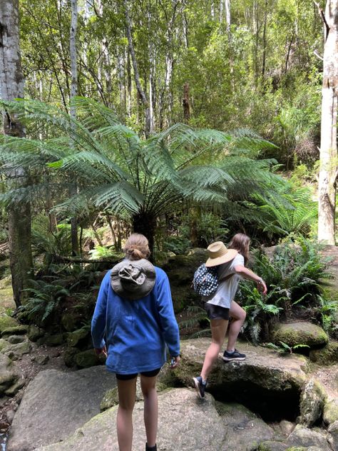 #walks #friends #forest #waterfall #tasmania #australia #tiktok #instagram #aesthetic #trees #adventure #lol Tasmania Aesthetic, Australia Aesthetic, Aesthetic Trees, Puerto Rico Trip, Trip Aesthetic, Forest Waterfall, Tasmania Australia, Summer 3, Summer 24