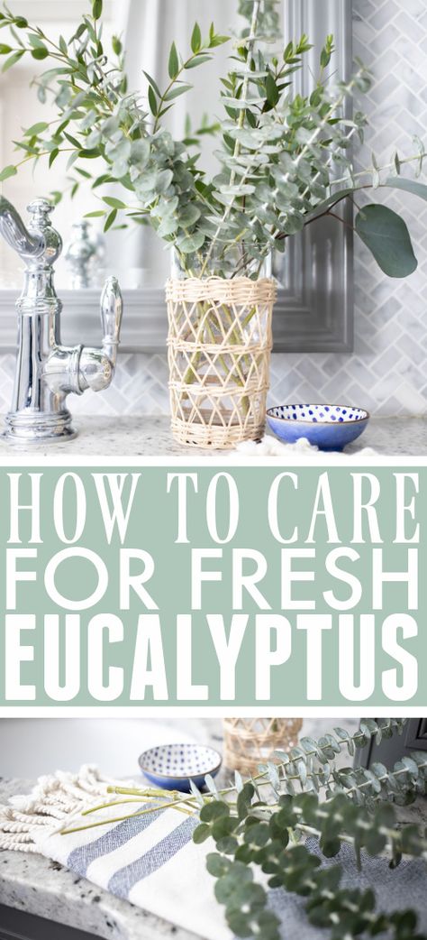 How to Care for Fresh Eucalyptus - The Creek Line House Living Space Decor, Fresh Eucalyptus, Dried Eucalyptus, Eucalyptus Branches, Spring Centerpiece, Diy Jar Crafts, Plants Indoor, House Smell, 2022 Trends