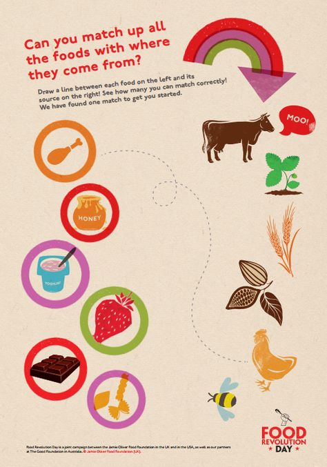 Download Jamie Oliver's activity sheet about where foods come from (click to download full PDF). #FRD2014 Where Does Food Come From Preschool, Where Does Food Come From Activities, Cooked Sushi Recipes, Healthy Sushi Recipes, Make Your Own Sushi, Healthy Sushi, Farm Theme Preschool, Sushi Lunch, Easy Sushi