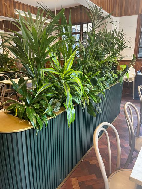 Restaurant Planters Interior, Planter Partition, Plant Partition, Restaurant Planters, Hotel Bar Design, Work Event Ideas, Rainforest Theme, Interior Design Plants, Classic Restaurant