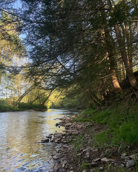 summers at home<3 #pasummer #pennsylvania #collegelife #amishcountry Minnesota Countryside, Pennsylvania Forest, Pennsylvania Aesthetic, Altoona Pennsylvania, House By The Lake, Camp America, Rural Pennsylvania, Erie Pennsylvania, Pennsylvania Travel