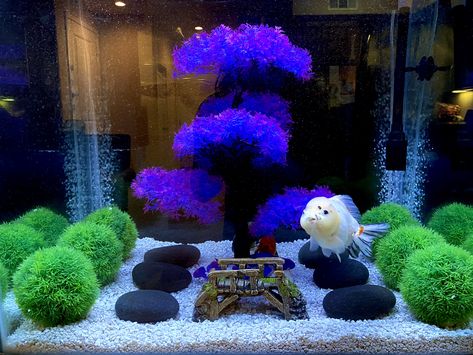 Aquaroum set up Japanese garden Japanese Fish Tank, Japanese Aquarium, Cute Aquarium Ideas, Pretty Fish Tank, Fish Tank Themes Creative, Cool Fish Tank Decorations, Fish Aquarium Decorations, Mini Aquarium, Fish Tank Themes