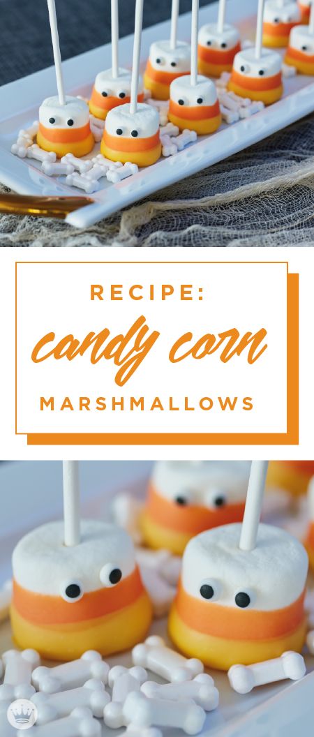 Easy candy corn marshmallows bring together chocolate, marshmallow, and bright Halloween candy corn colors. This fun dessert is kid friendly and delicious! Halloween Chocolate Dipped Marshmallows, Halloween Chocolate Marshmallows, Candy Corn Marshmallows, Candy Corn Themed Food, Fall Marshmallow Treats, Candy Corn Food Ideas, Fall Chocolate Covered Marshmallows, Halloween Dipped Marshmallows, Kid Friendly Fall Desserts