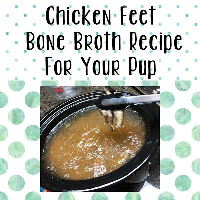 Chicken Feet Bone Broth Recipe... For DOGS! Bone Broth Recipe Instant Pot, Bone Broth Recipe For Dogs, Chicken Feet Bone Broth, Bone Broth Dogs, Broth For Dogs, Making Bone Broth, Recipe Instant Pot, Dogs Images, Bone Broth Recipe