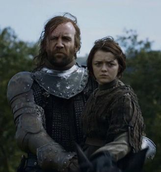 Arya Stark Season 1, Hound Game Of Thrones, Jon Snow And Ygritte, Rory Mccann, Iconic Movie Characters, Got Game Of Thrones, Actors Funny, Got Memes, The Hound