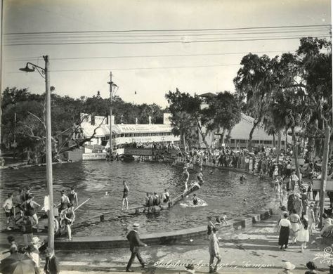 1925 Vintage Tampa Florida, Historic Pictures, Sulphur Springs, Public Bath, Water Pool, Altered Photo, Concept Board, Photographic Studio, Sunshine State