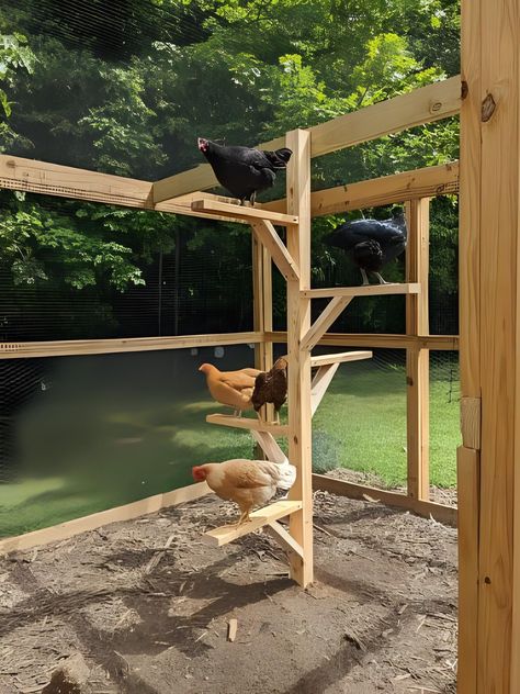 Roosting Bars, Chicken Coop Plans Free, Cheap Chicken Coops, Chicken Roost, Chicken Coop Decor, Chicken Pen, Diy Chicken Coop Plans, Chicken Run, Chicken Coop Designs